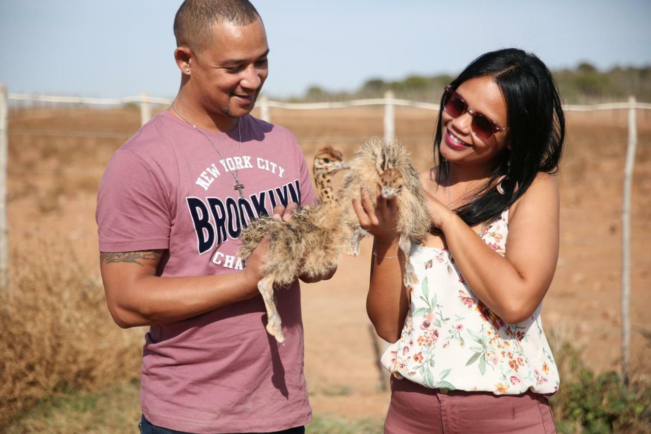 De Opstal Country Lodge Oudtshoorn Zewnętrze zdjęcie